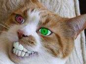 Install0us passe version iPhone...