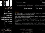 Mise ligne site Internet Cnijf Consult