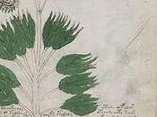 Manuscrit Voynich: mystérieux ouvrage enfin daté