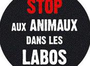 STOP animaux dans labos