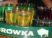 vodka polonaise conquiert l'Asie