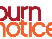 Burn Notice prequel bientôt diffusé Etats-Unis