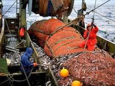 Propriété ressources halieutiques