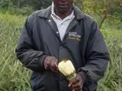 Faustin Vomewor, producteur d&amp;rsquo;ananas Togo Salon l&amp;rsquo;Agriculture