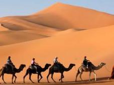 Printemps dans désert marocain