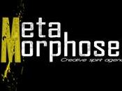 Studio Meta Morphose agence communication Nord