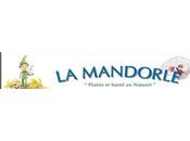 Mandorle