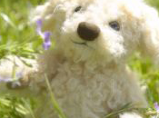 2011, continue lire albums