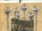 deux branches l’Amazone (Penso