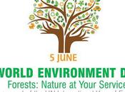 Journée mondiale l’environnement 2011