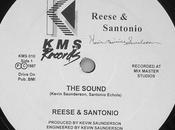 Indemodable Reese Santonio Sound