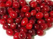 Bienfaits cranberry