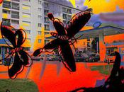 matin côté Sucy...