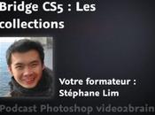 collections dans Bridge