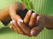 Avez-vous main verte