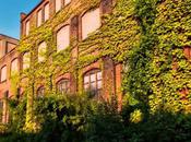 Urbex Scranton Lace Company