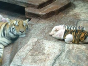 pays PIIGS sont faits comme gorets!