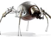 robots hommes créatures extraordinaires Stéphane Halleux