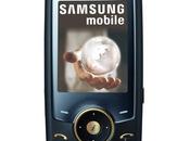 Samsung U600 Black Gold