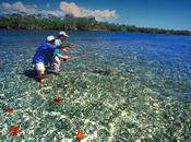 bon, bone yummy bonefish