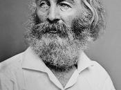 meilleur gouvernement