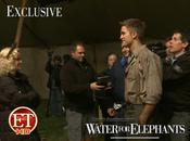 Water Elephants footage