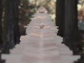 mega-Xylophone dans forêt