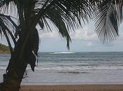 Ezile Bay, Trois noix coco..., three coconuts...