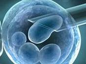 BIOÉTHIQUE: vert Sénat pour recherche l’embryon Petite Bioéthique