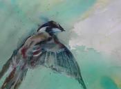 Autour l’oiseau symbolique expressions poésie littérature musique puis cette aquarelle “drôle d’oiseau”