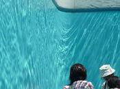 fait beau, promenade dans piscine vous tente