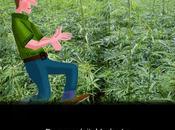 cannabis ecolo