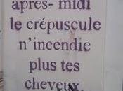 quelques après-midi crépuscule n'incendie plus cheveux