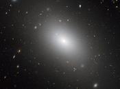 gigantesque galaxie 1132 photographiée télescope Hubble