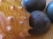 Verrines exotiques kiwano, mangue, fruits passion