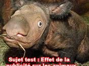 Analyse trois publicités merdiques