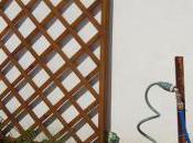 dernière idée Roger, avril 2011