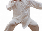 Baji Quan, style Kung traditionnel