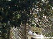 semaine sciences naturelles