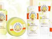 Résultat Concours Roger Gallet Beauty Modeuse