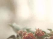 Oleena: Sleepless Fever MP3/EP Streaming Canadienne Sea...