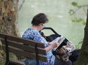 Dame chiens loin assise&amp;nbsp; bord d...