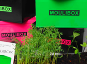 Moulibox, composteur design pour particulier