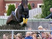 cheval saute dans foule lors d'une course hippique Video