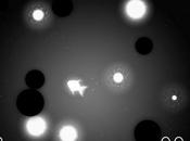 Télécharger d’urgence! Last Fish