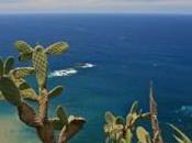 vacances estivales Iles Canaries