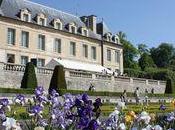 Coupe Espoir Interflora Auvers Oise pour irisiades 2011