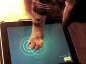 jeux pour chats iPad