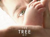 Tree Life, film Terrence Malik