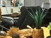 Créations capillaires Shiou-ying Tsai